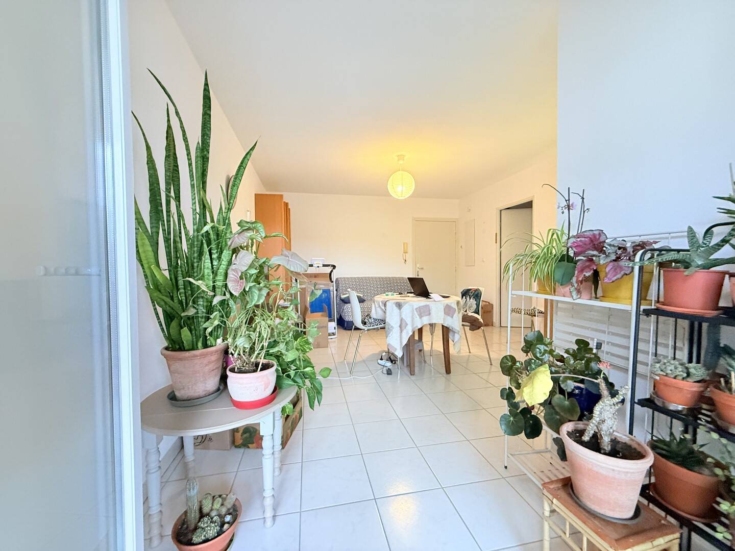 Maison à louer, 43m², MONTAUBAN