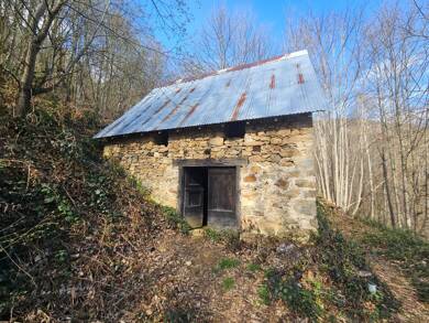 Maison à vendre 44 000 € 2 pièces 1 chambre 50 m² 42 523 m² de terrain Alos 09200