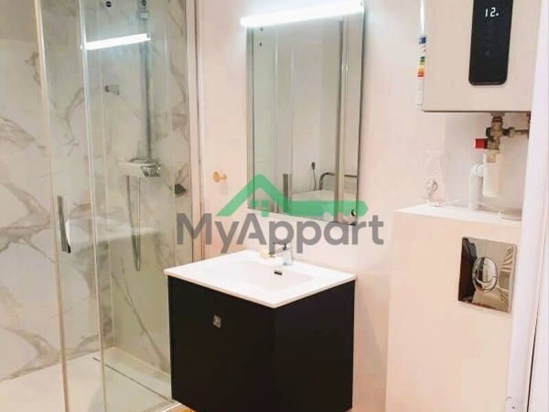 Maison à louer, 27m², LYON 7E