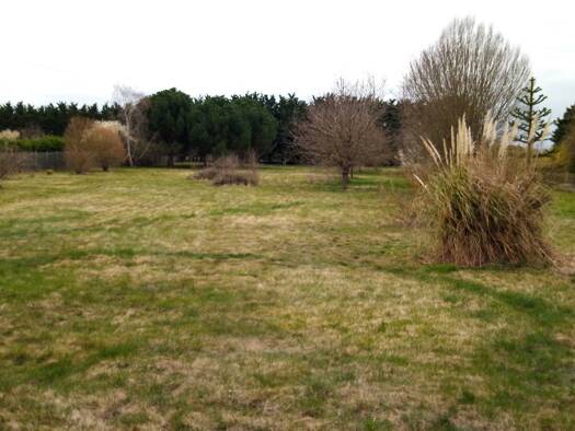 Terrain constructible à vendre 67 000 € 2 250 m² de terrain Nancray sur Rimarde 45340