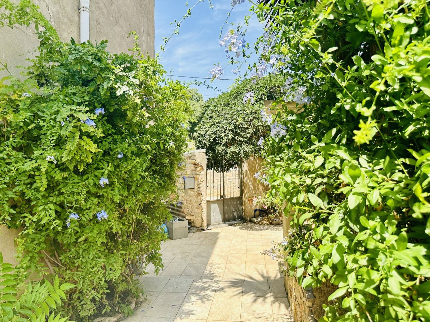 Maison à vendre, 268m², MONTREDON DES CORBIERES