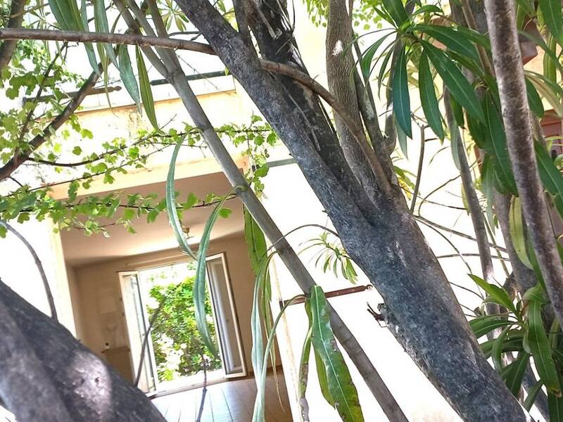 Maison à vendre, 110m², MONTPELLIER