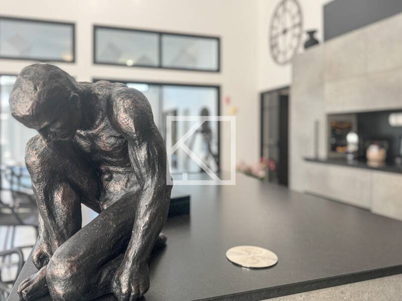 Maison à vendre, 700m², SAINTE GEMMES SUR LOIRE