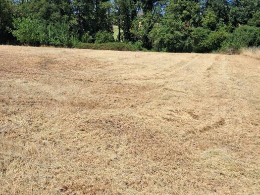 Terrain constructible à vendre 44 000 € 2 416 m² de terrain Saulcet 03500