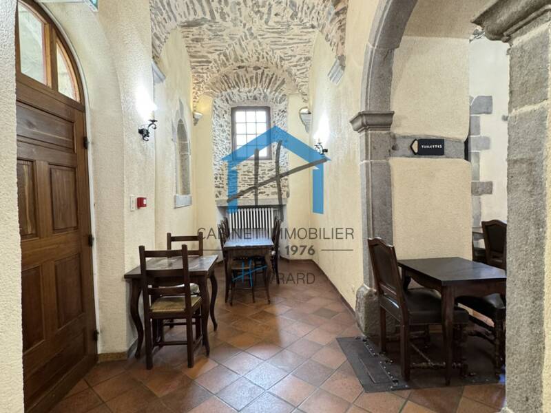 Maison à vendre, 384m², SAINTE CROIX EN JAREZ