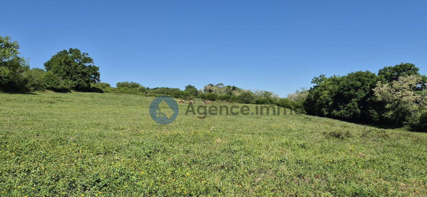 Maison à vendre, 145m², NAVARRENX