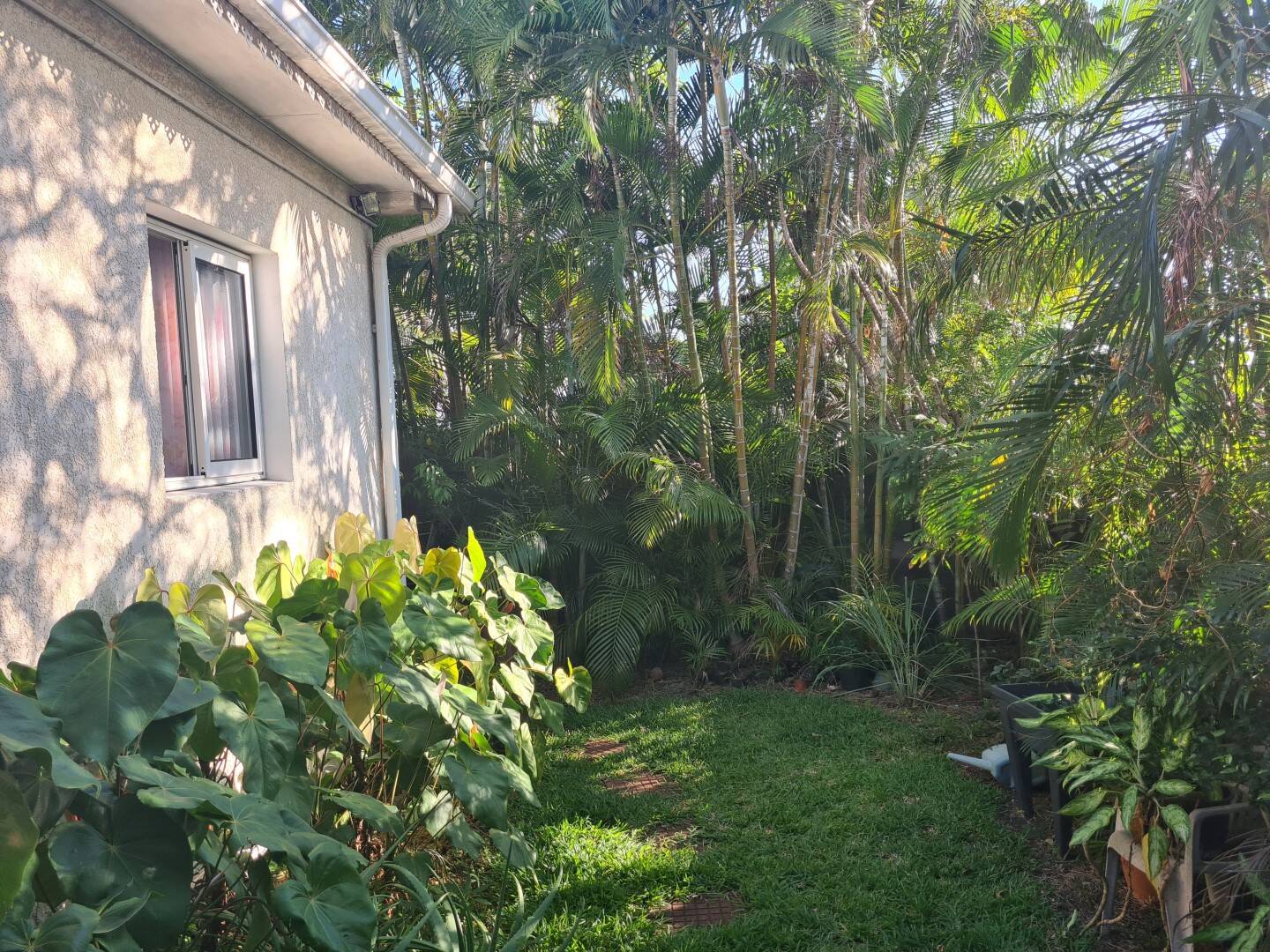Maison à vendre, 328m², SAINT PIERRE