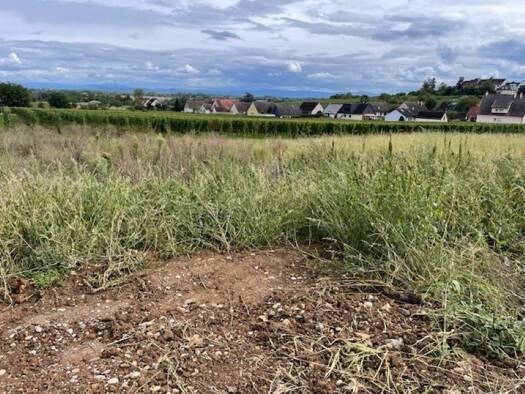 Terrain constructible à vendre 133 000 € 459 m² de terrain Beblenheim 68980