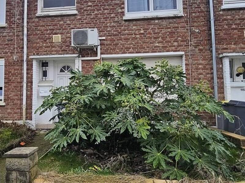 Maison à vendre, 97m², RONCHIN