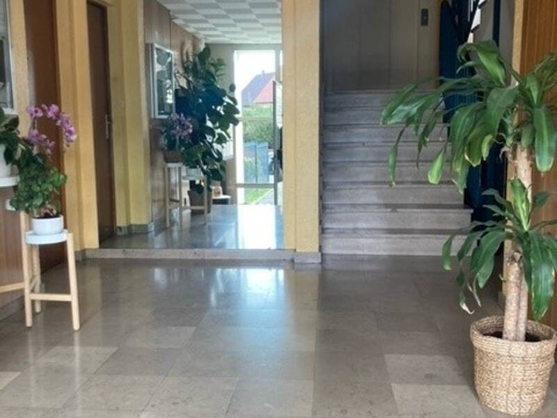 Maison à louer, 35m², ILLZACH