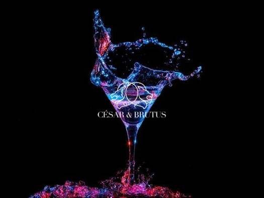 Bar / Café à vendre Fonds de commerce 126 500 € 88 m² d'espace de restauration Lyon 5ème arrondissement 69005