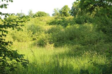 Terrain à vendre 75 000 € 7 573 m² de terrain Etagnac 16150