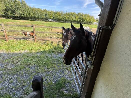 Maison à vendre 294 263 € 2 pièces 1 chambre 40 m² 15 000 m² de terrain Les Authieux-sur-Calonne 14130