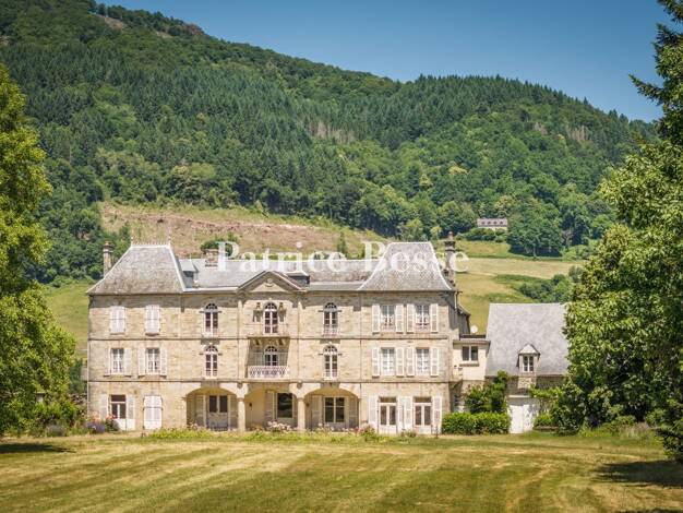 Château à vendre 534 000 € 20 pièces 10 chambres 750 m² 43 637 m² de terrain Ydes 15210