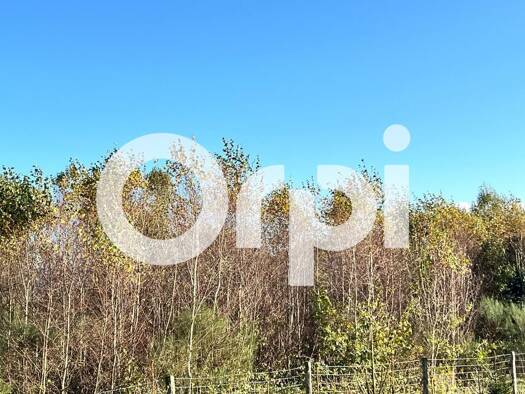 Terrain à vendre 25 000 € 13 500 m² de terrain Nayemont-les-Fosses 88100