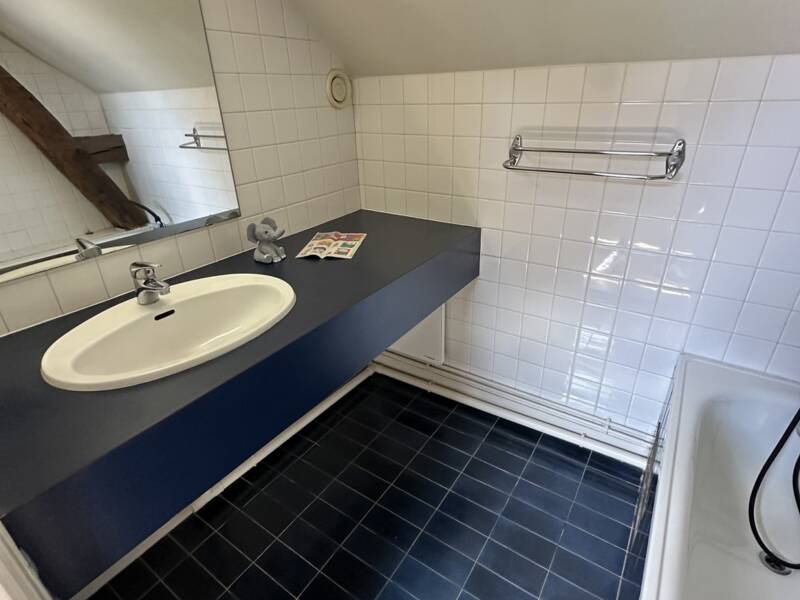 Maison à louer, 17m², SAINT JEAN LE BLANC