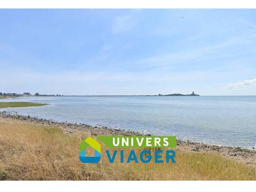 Maison en viager occupé Bouquet 32 350 € 2 pièces 1 chambre 40 m² Quettehou 50630