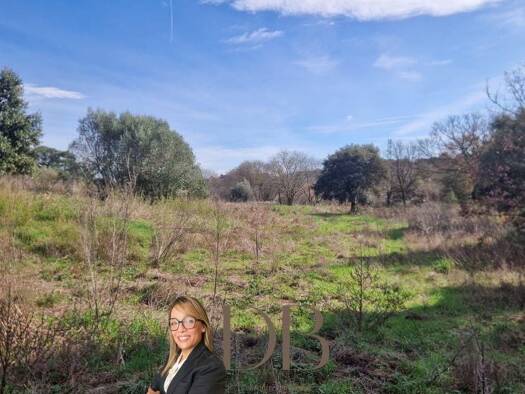 Terrain à vendre 249 000 € Murviel-lès-Montpellier 34570