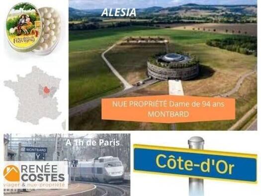 Maison en viager occupé Bouquet 84 078 € 5 pièces 3 chambres 110 m² 285 m² de terrain Saint Pierre-Les Bordes Montbard 21500