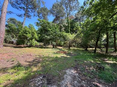 Terrain à vendre 1 355 715 € 1 053 m² de terrain Pereire-Ville-d'Hiver Arcachon 33120