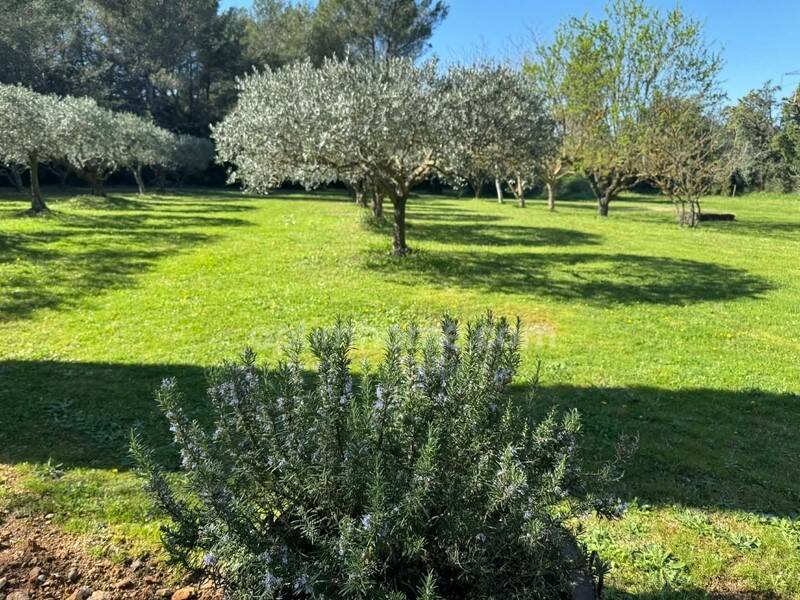 Maison à vendre, 150m², EYGALIERES