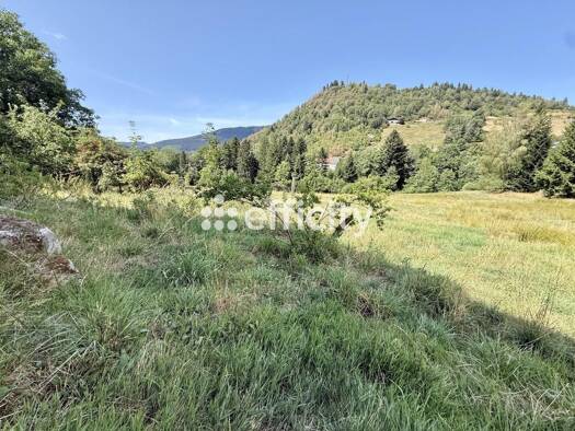 Maison à vendre 188 000 € 5 pièces 4 chambres 113 m² 5 210 m² de terrain Ventron 88310