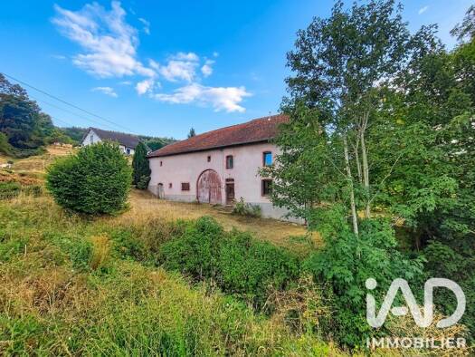 Maison à vendre 180 000 € 5 pièces 4 chambres 165 m² 6 747 m² de terrain La Croix-aux-Mines 88520