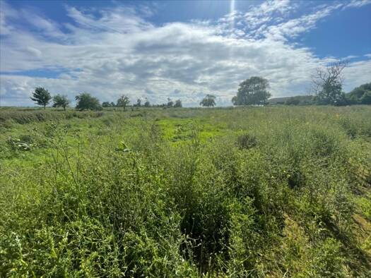 Terrain constructible viabilisé à vendre 116 450 € 1 023 m² de terrain Sainte-Croix-sur-Mer 14480