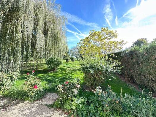 Maison en viager occupé Bouquet 113 430 € 3 pièces 1 chambre 122,8 m² 13 173 m² de terrain Ambloy 41310