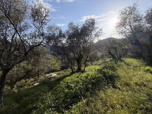 Terrain à vendre 49 000 € 1 458 m² de terrain L'Escarène 06440