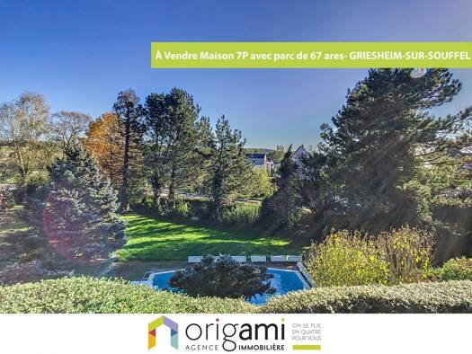 Maison à vendre 850 000 € 7 pièces 4 chambres 171,2 m² 6 716 m² de terrain Griesheim-sur-Souffel 67370