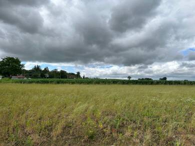 Terrain constructible à vendre 73 500 € 424 m² de terrain Haute Loge-Tissage-Chapelle Vandamme-Rocher Hazebrouck 59190