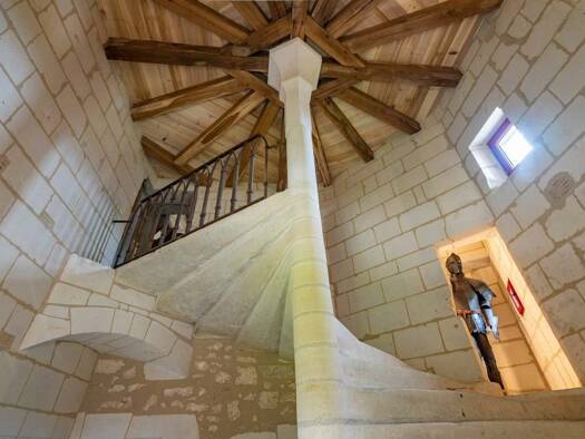 Château en viager 2 496 000 € 15 pièces 5 chambres 670 m² 19 440 m² de terrain Vou 37240