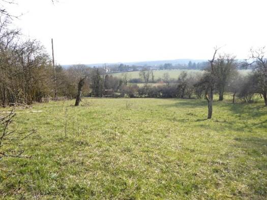 Terrain à vendre 64 000 € 2 328 m² de terrain Ouest Mirecourt 88500