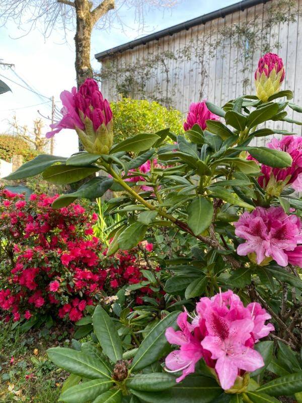 Maison à vendre, 160m², VANNES