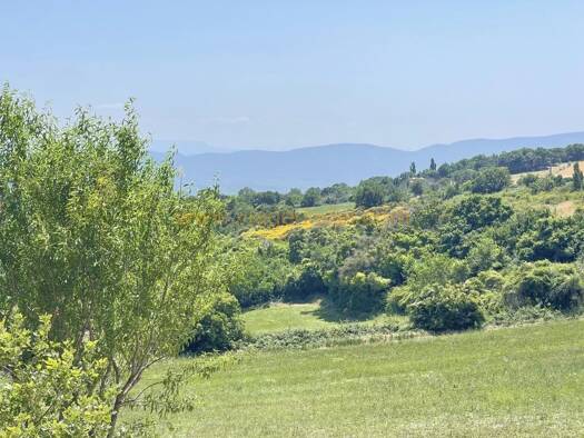 Maison en viager occupé Bouquet 65 000 € 4 pièces 3 chambres 90 m² 420 m² de terrain Vachères 04110