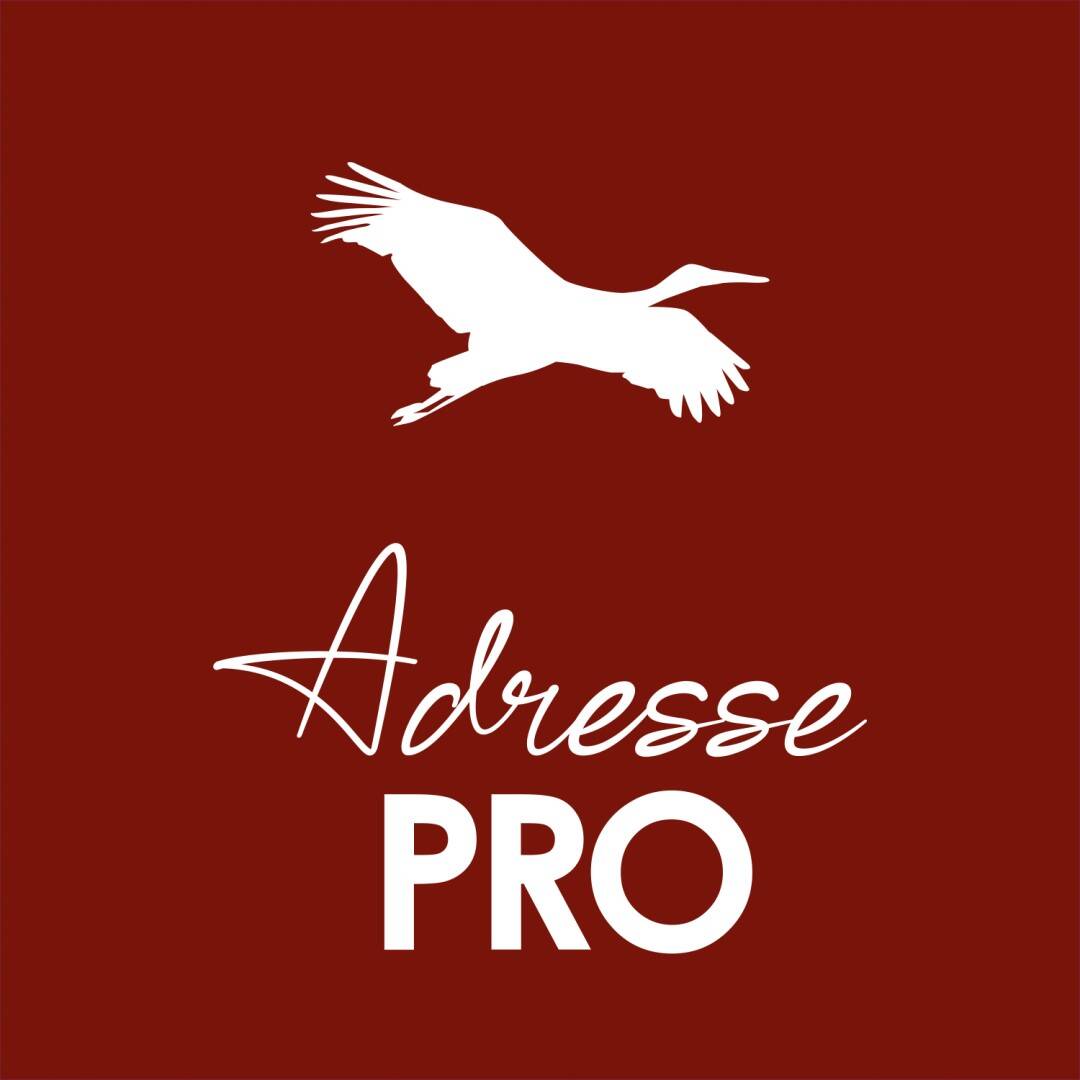 Adresse Pro Bordeaux