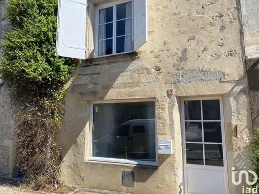 Maison à vendre 228 800 € 3 pièces 2 chambres 161 m² 108 m² de terrain Pellegrue 33790