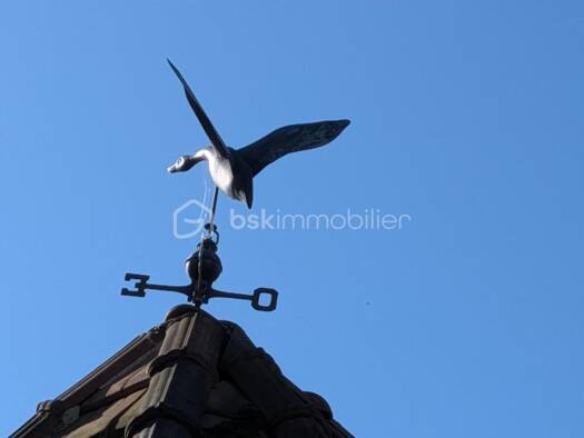 Maison à vendre 936 000 € 14 pièces 6 chambres 400 m² 935 m² de terrain Coteau Ouest-Les Forges Est Épernay 51200