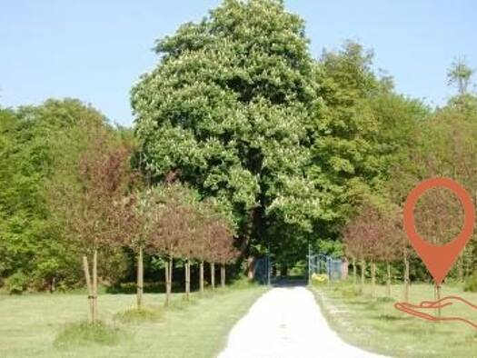 Château en viager occupé Bouquet 1 820 000 € 10 pièces 6 chambres 320 m² 17 700 m² de terrain Deauville 14800