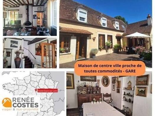 Maison en viager occupé Bouquet 78 807 € 5 pièces 3 chambres 170 m² 455 m² de terrain Centre Ville Cosne-Cours-sur-Loire 58200