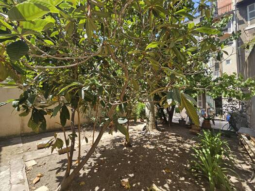 Appartement à louer 1 450 € 3 pièces 2 chambres 74,06 m² dès le 01/09/2026 Marseille 1er arrondissement 13001