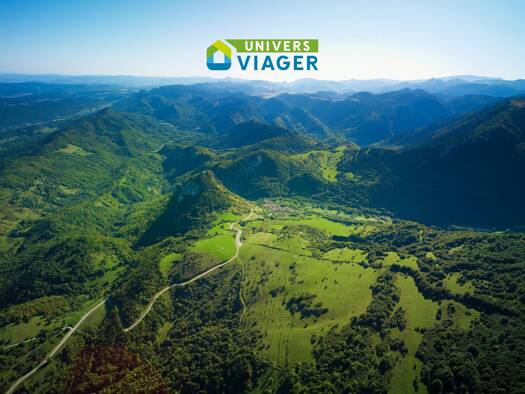 Maison en viager occupé Bouquet 21 400 € 5 pièces 2 chambres 75 m² Fougax-et-Barrineuf 09300