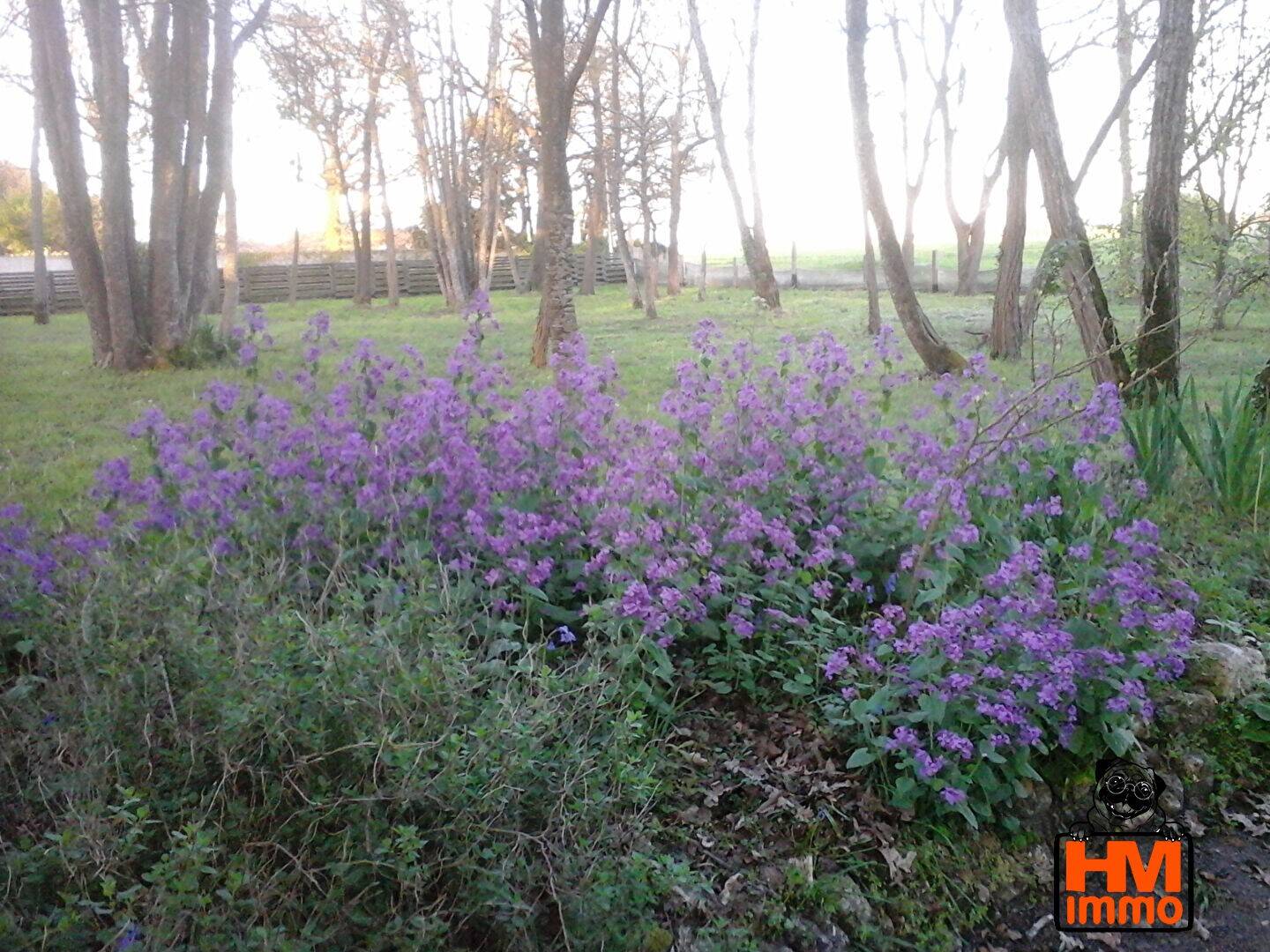 Maison à vendre, 100m², SAINT JUST LUZAC
