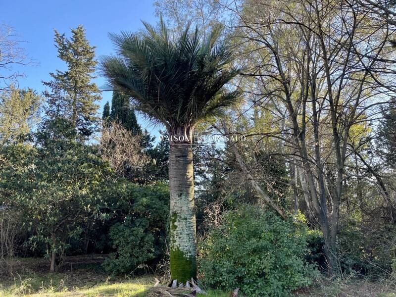 Maison à vendre, 208m², MONTPELLIER