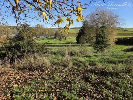 Terrain constructible viabilisé à vendre 60 000 € 2 905 m² de terrain Chaource 10210