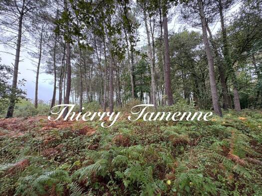 Terrain à vendre 65 000 € 51 575 m² de terrain Escalans 40310