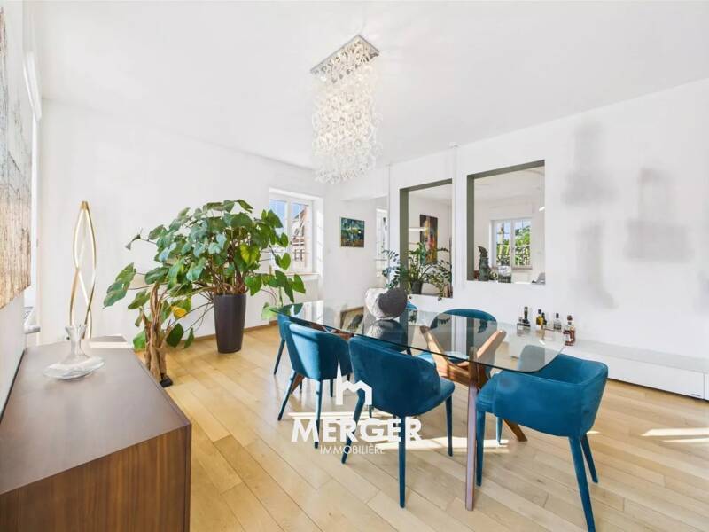 Maison à vendre, 305m², STRASBOURG
