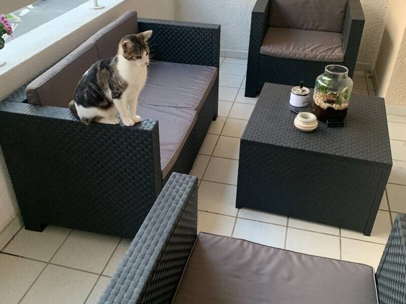 Maison à louer, 68m², SAINT ESTEVE