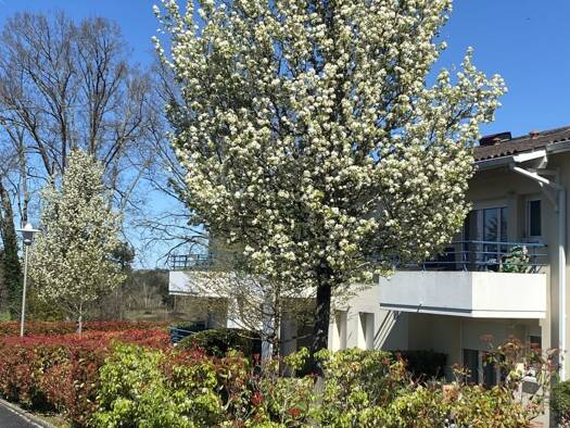 Appartement à vendre 75 000 € 2 pièces 1 chambre 40 m² Étage 1/1 Montendre 17130